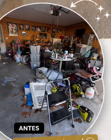 Company's Lissy Cleaning Service project